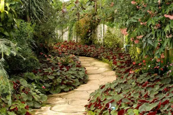 Les dernières tendances en jardinage et aménagement paysager pour sublimer votre espace extérieur