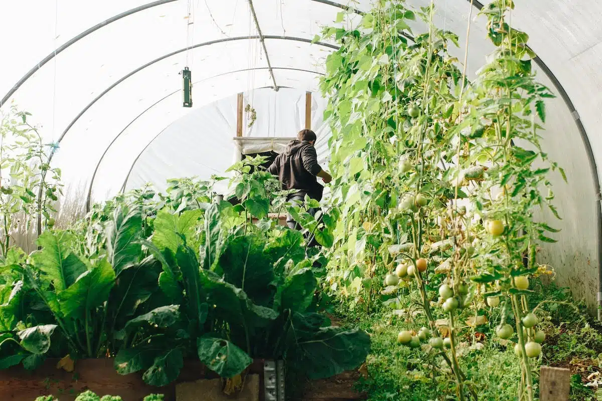 Créez un jardin ou un espace extérieur agréable et convivial avec ces idées inspirantes