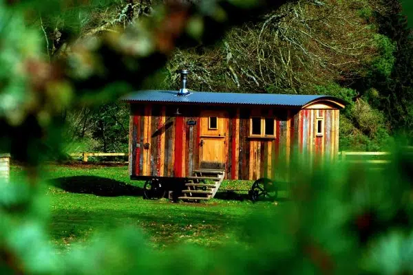 Comment construire une cabane : la bonne méthode à suivre