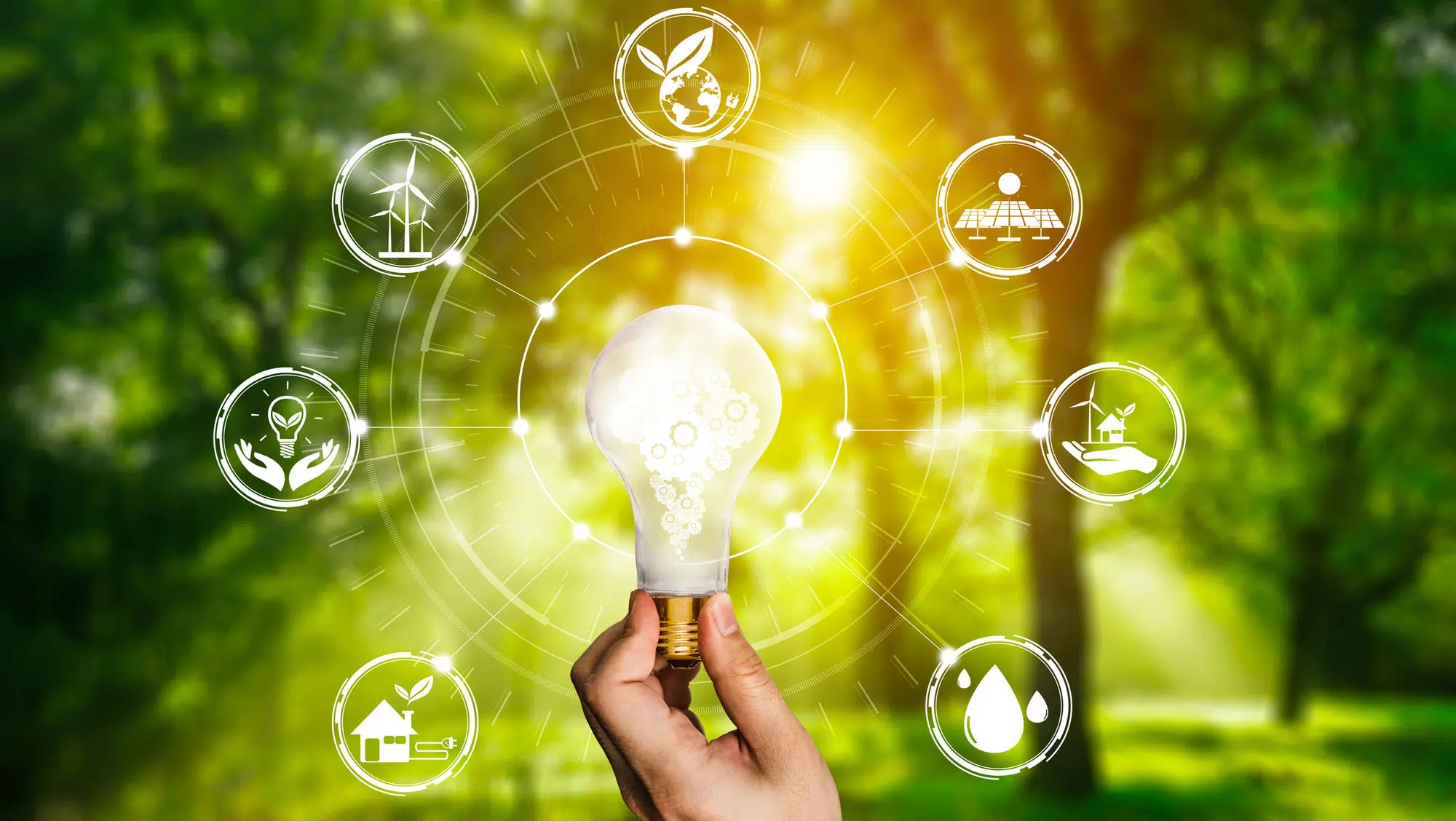Comment prendre part au développement durable ?
