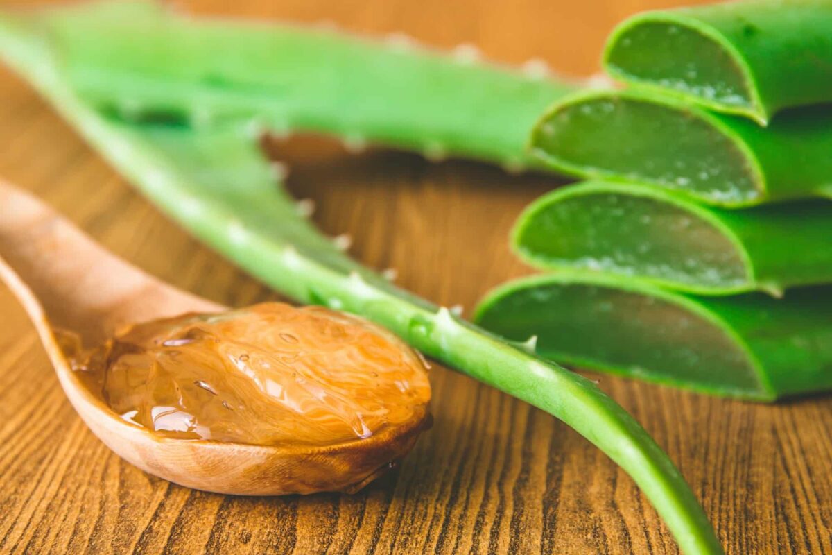 es miracles de l’aloe vera à savoir pour la peau et les cheveux !