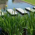 bassin aquatique